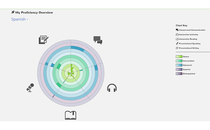 Learner Proficiency Overview